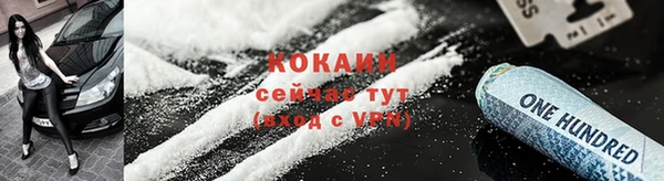 прущие крисы Ельня
