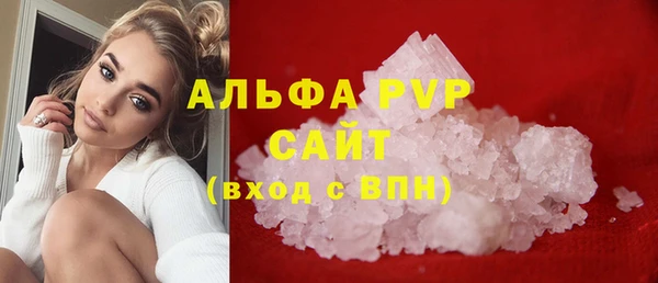 ПСИЛОЦИБИНОВЫЕ ГРИБЫ Елабуга