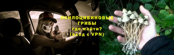 ПСИЛОЦИБИНОВЫЕ ГРИБЫ Елабуга