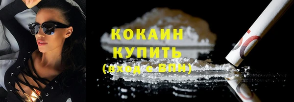 прущие крисы Ельня