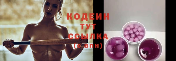 прущие крисы Ельня
