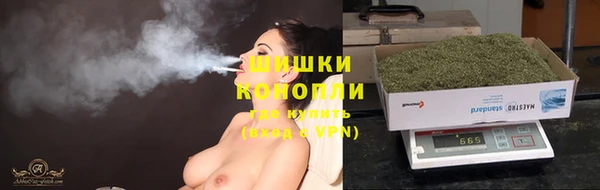 прущие крисы Ельня
