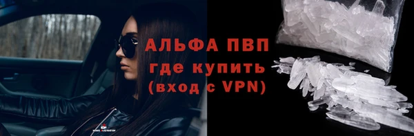 прущие крисы Ельня