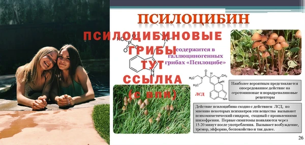 прущие крисы Ельня