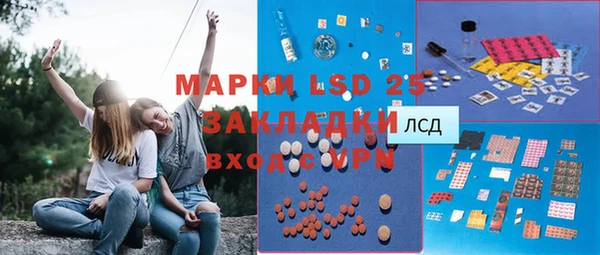 прущие крисы Ельня