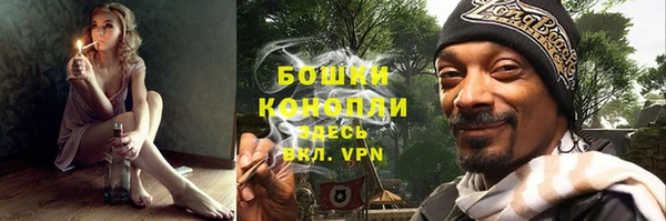 прущие крисы Ельня
