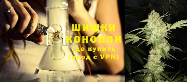 ПСИЛОЦИБИНОВЫЕ ГРИБЫ Елабуга