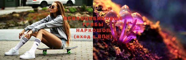 ПСИЛОЦИБИНОВЫЕ ГРИБЫ Елабуга