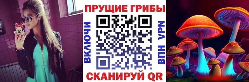 Псилоцибиновые грибы прущие грибы  Купить закладки  Лениногорск 